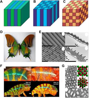 A Short Review of All-Dielectric Topological Photonic Crystals